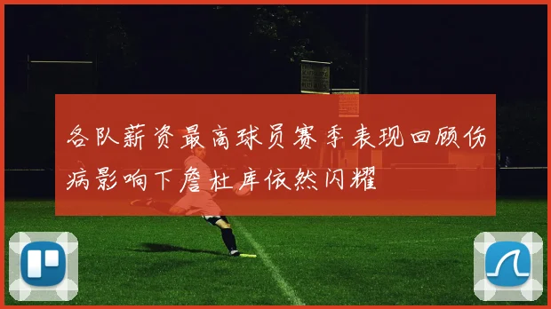 各队薪资最高球员赛季表现回顾伤病影响下詹杜库依然闪耀