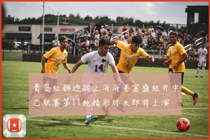 青岛红狮迎战上海海港富盛经开中乙联赛第11轮精彩对决即将上演